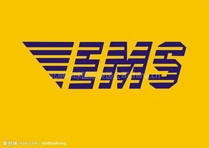 青島進(jìn)口代理與EMS快遞清關(guān) 專業(yè)服務(wù)與廣告設(shè)計策略